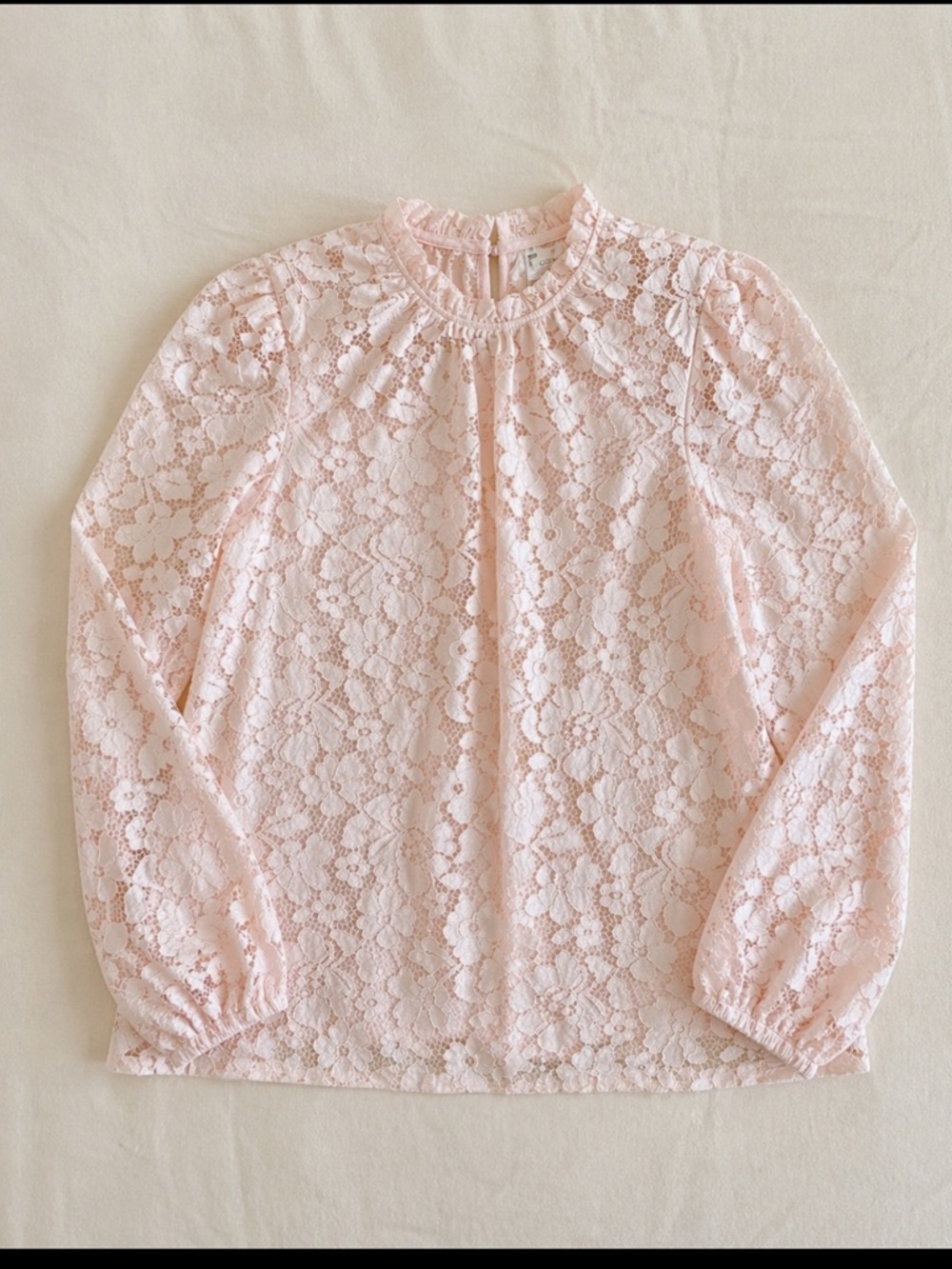 Cloth & Portrait Pink Lace Blouse XL Romantic Ruffle Neck Long Sleeve Feminine